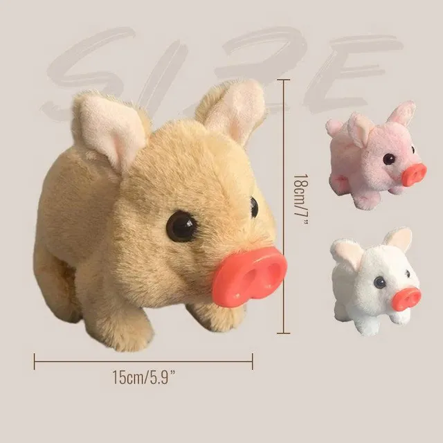 /6901e7c0eb499c00091ca0f5/2025/11/06/product-img-690cb10470bd325c841f533b.png