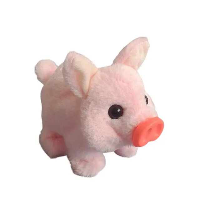 /6901e7c0eb499c00091ca0f5/2025/11/06/product-img-690cb10470bd325c841f533c.png