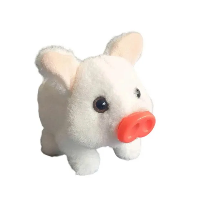 /6901e7c0eb499c00091ca0f5/2025/11/06/product-img-690cb10470bd325c841f5341.png